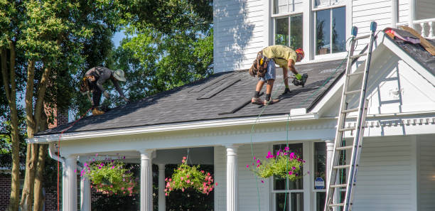 Best Roof Leak Repair  in Highland Beach, FL